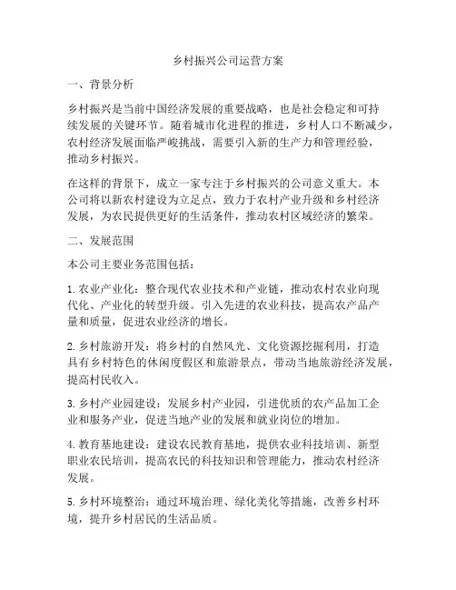 乡村振兴公司运营方案