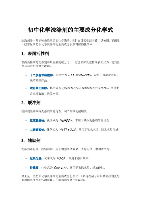 初中化学洗涤剂的主要成分化学式