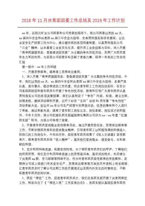 2018年11月共青团团委工作总结及2019年工作计划