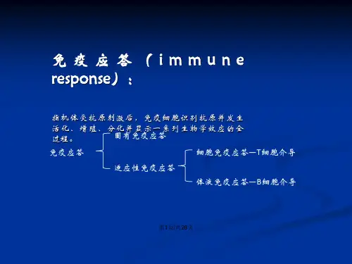 固有免疫应答