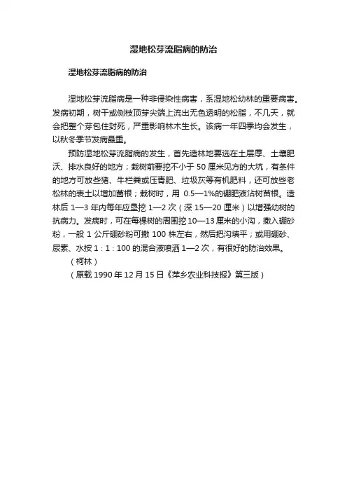 湿地松芽流脂病的防治