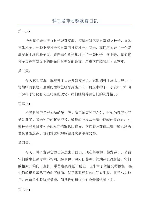 种子发芽实验观察日记
