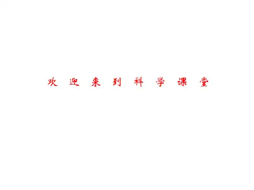 苏教小学科学四下《3.1.一切都在运动中》PPT课件 (1)