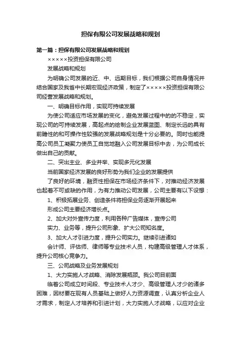 担保有限公司发展战略和规划