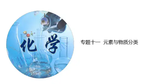 专题11 元素与物质分类(考点精讲PPT版)-中考化学一轮复习精讲精练(全国通用)