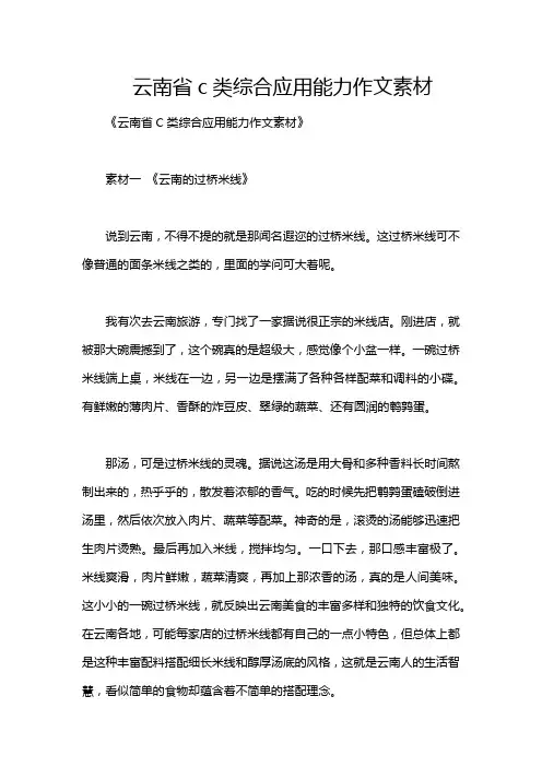 云南省c类综合应用能力作文素材