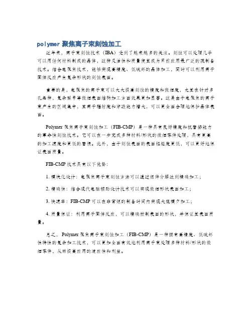 polymer聚焦离子束刻蚀加工