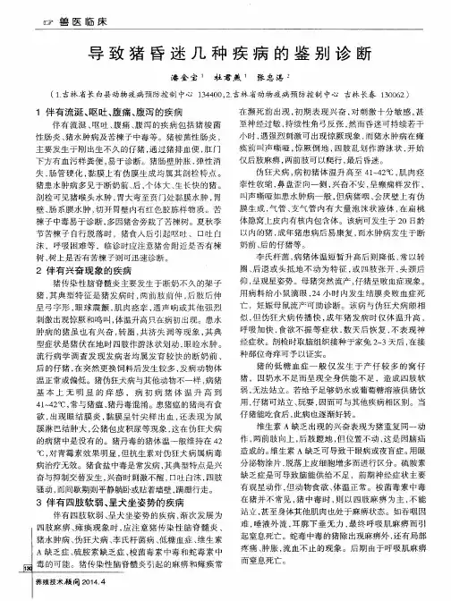 导致猪昏迷几种疾病的鉴别诊断