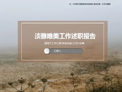 淡雅唯美工作述职报告PPT