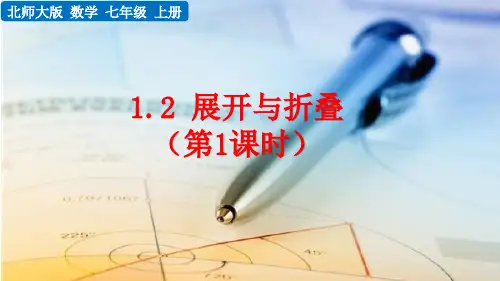 展开与折叠课件PPT