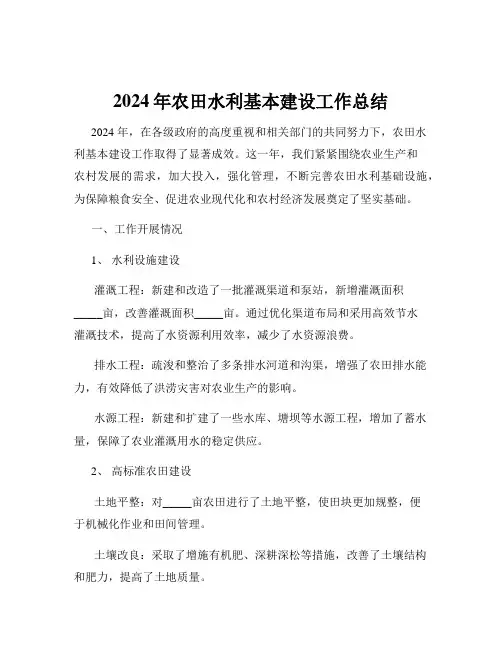 2024年农田水利基本建设工作总结