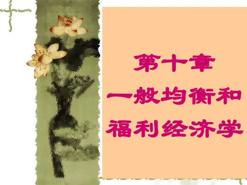 一般均衡和福利经济学专题知识讲座
