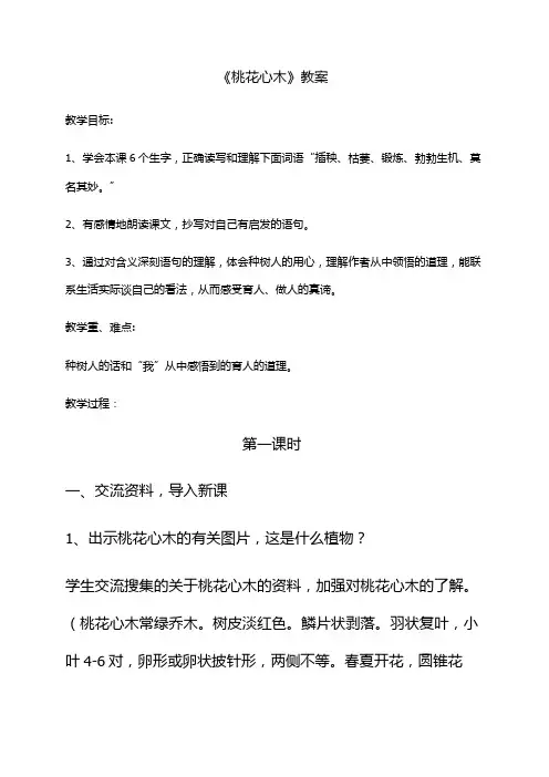 六年级下册语文教案-3 桃花心木-人教新课标