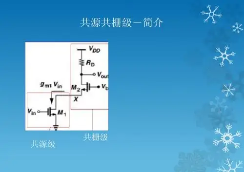 共源共栅放大器-刘喆