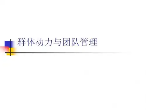 群体：群体动力与团队管理
