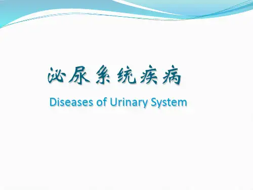 肾盂肾炎 ppt课件