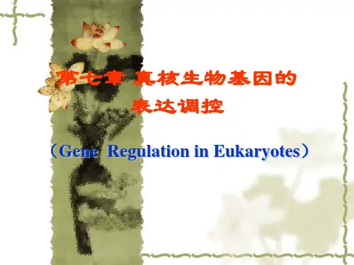 第七章真核生物基因的表达调控