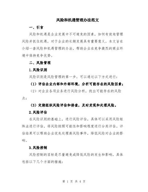 风险和机遇管理办法范文