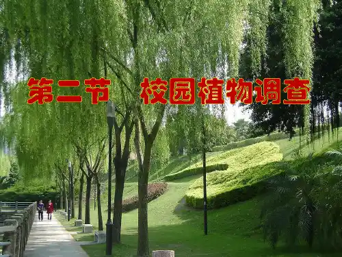 3.2 校园植物调查PPT课件