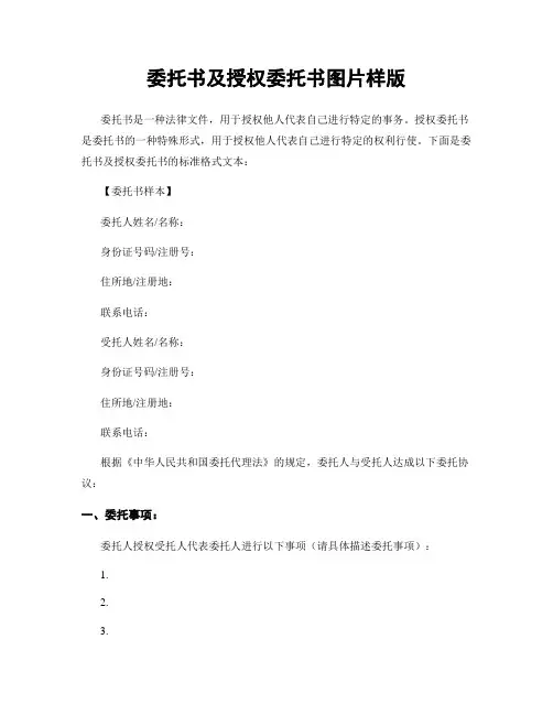 委托书及授权委托书图片样版