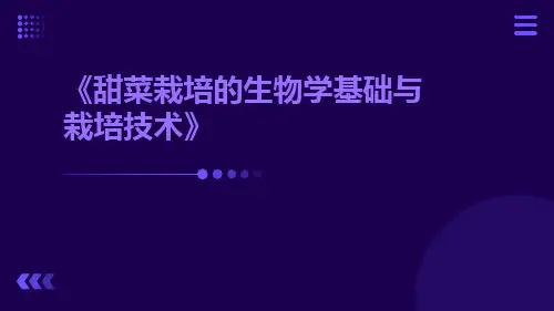 甜菜栽培的生物学基础与栽培技术