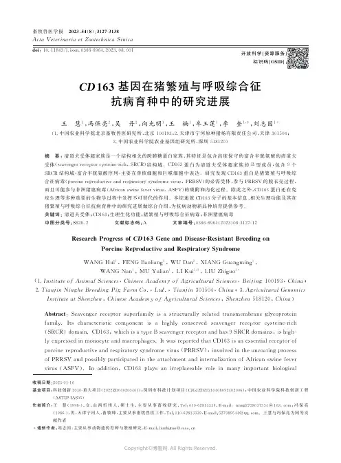 CD163基因在猪繁殖与呼吸综合征抗病育种中的研究进展