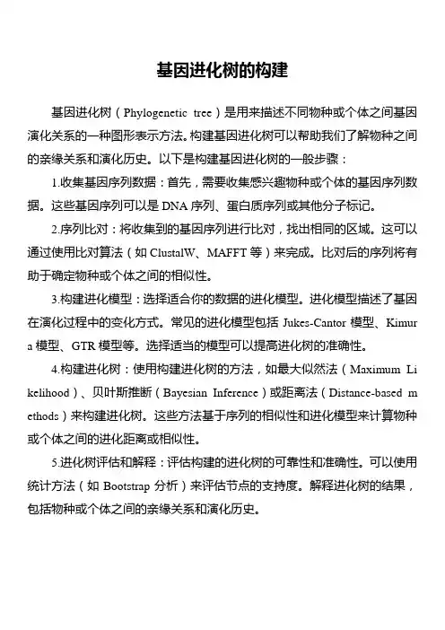 基因进化树的构建