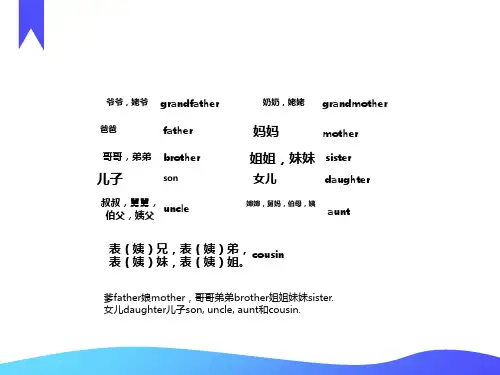 家庭成员英语单词复习