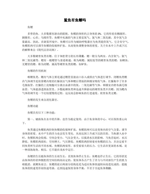 鲨鱼有鱼鳔吗