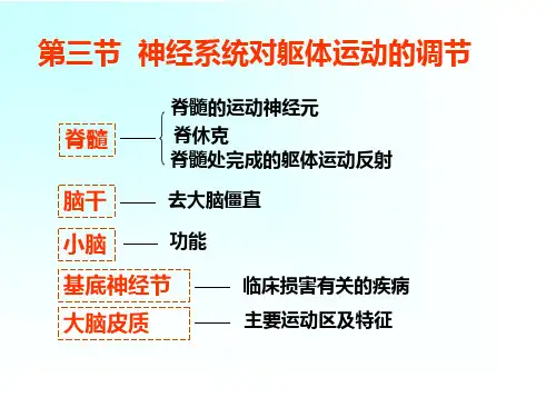 神经系统对躯体运动的调节