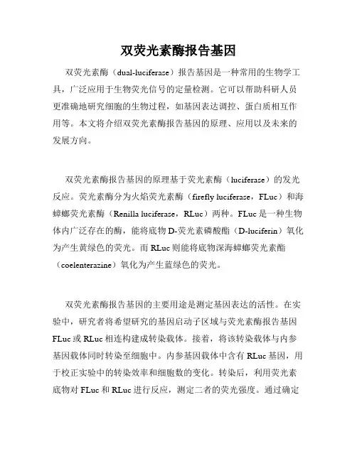 双荧光素酶报告基因
