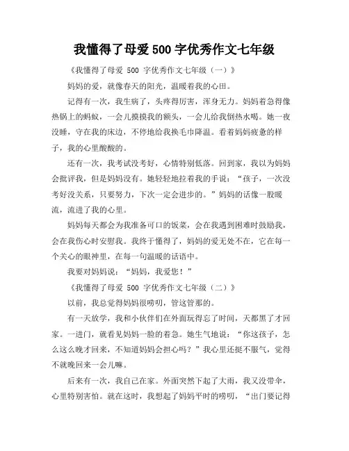 我懂得了母爱500字优秀作文七年级