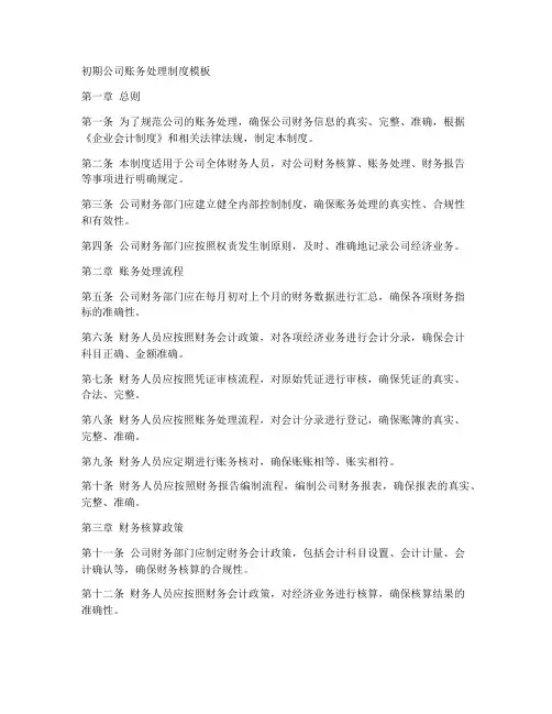 初期公司账务处理制度模板