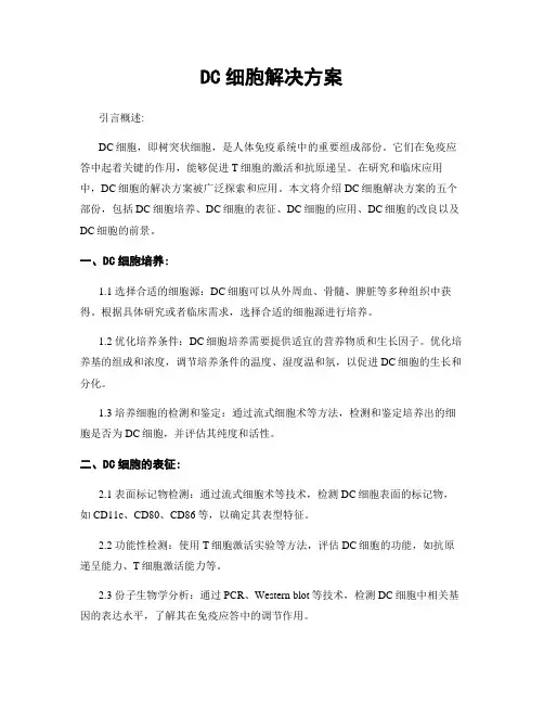 DC细胞解决方案