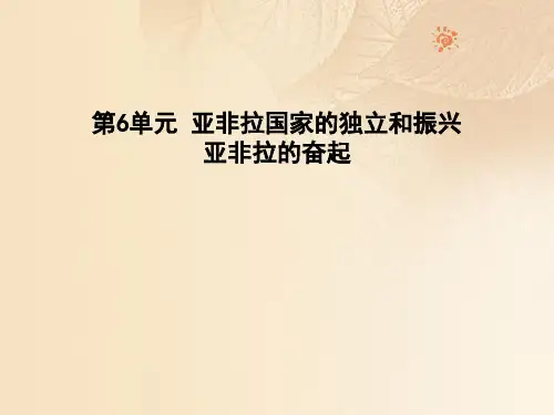 九年级历史下册第6单元亚非拉国家的独立和振兴12亚非拉的奋起课件新人教版