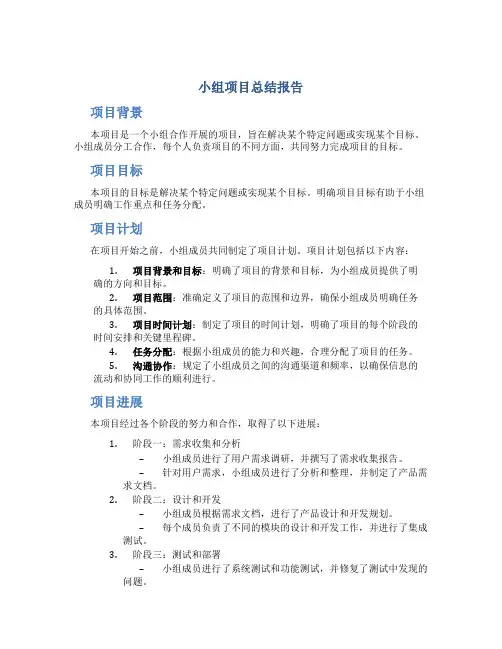 小组项目总结报告