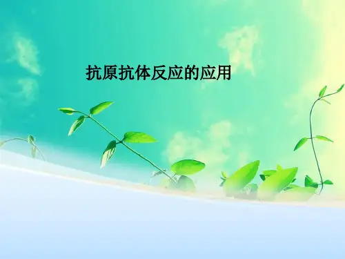 抗原抗体反应的应用