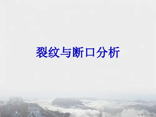 裂纹与断口分析