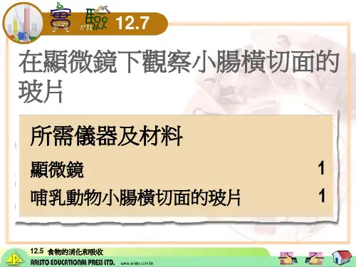 在显微镜下观察小肠横切面的.