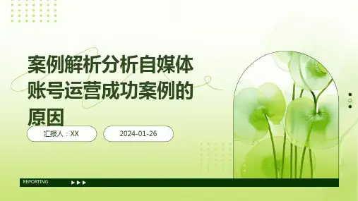 案例解析分析自媒体账号运营成功案例的原因