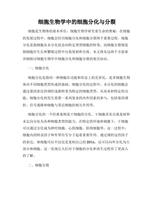 细胞生物学中的细胞分化与分裂