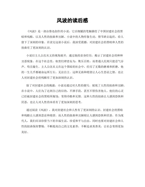 风波的读后感