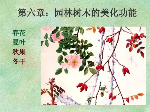第六章：园林树木的美化功能