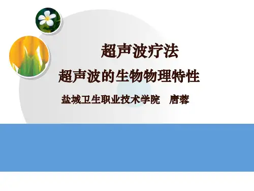 超声波生物物理特性(精)