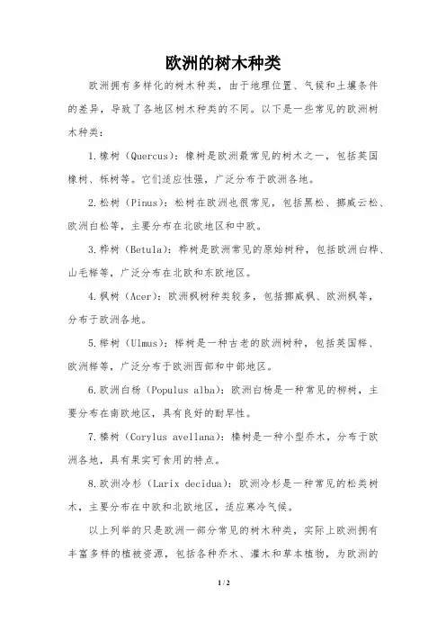 欧洲的树木种类