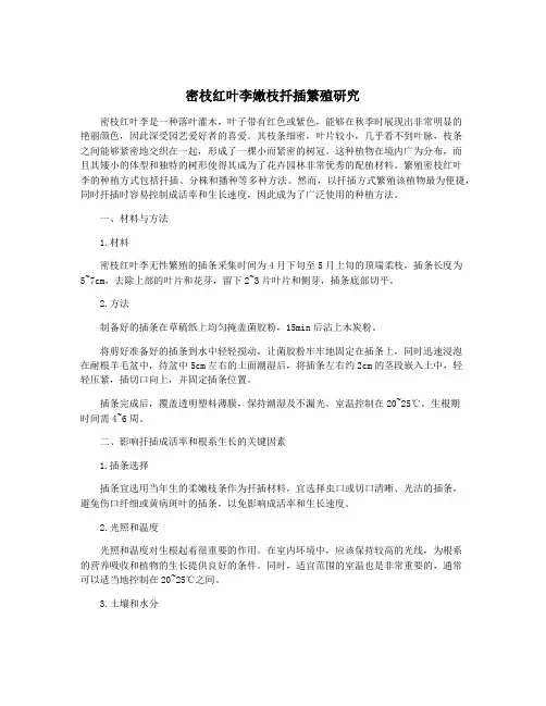 密枝红叶李嫩枝扦插繁殖研究