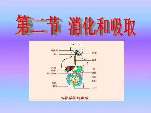 人教版生物七年级下册课件第二章第二节  消化和吸收课件