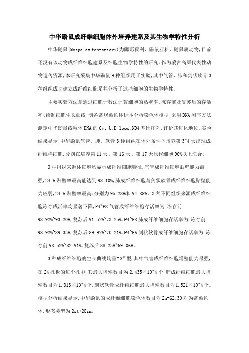 中华鼢鼠成纤维细胞体外培养建系及其生物学特性分析