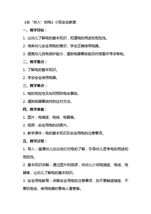 《会“咬人”的电》小班安全教案