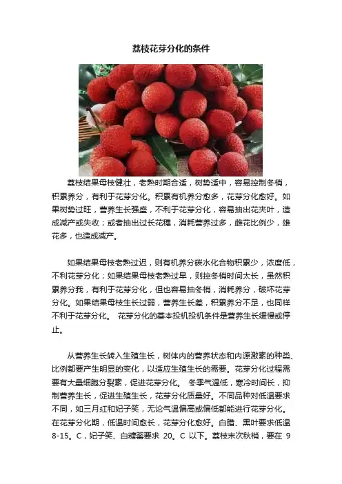 荔枝花芽分化的条件